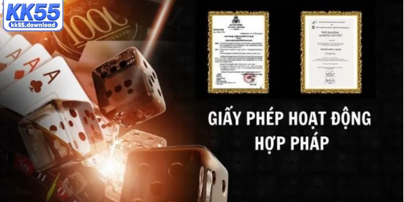 Vai trò của giấy phép KK55